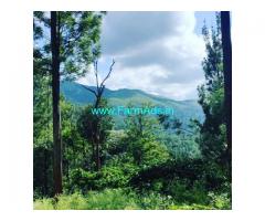 60 Acres Agriculture Land For Sale In Chikkamagaluru