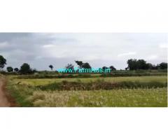 13 Acres Agriculture Land For Sale In Harivaram
