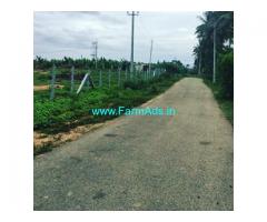 25 Acres Agriculture Land For Sale In Mysore