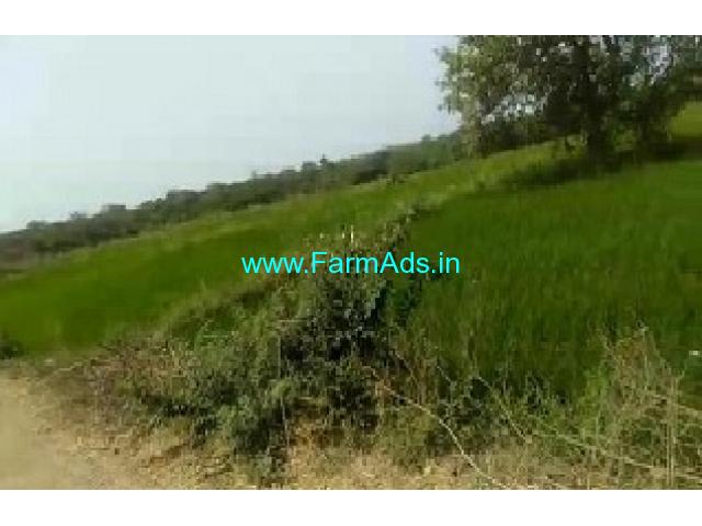 9.8 Acres Agriculture land for sale near Kalher mandal