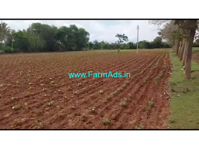 2 Acres 09 Gunta Farm Land For Sale In Suralli