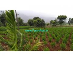 1 Acre 30 Gunta Agriculture Land For Sale In Thalagattapura