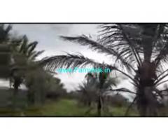 3 Acres Agriculture Land For Sale In Kurihundi