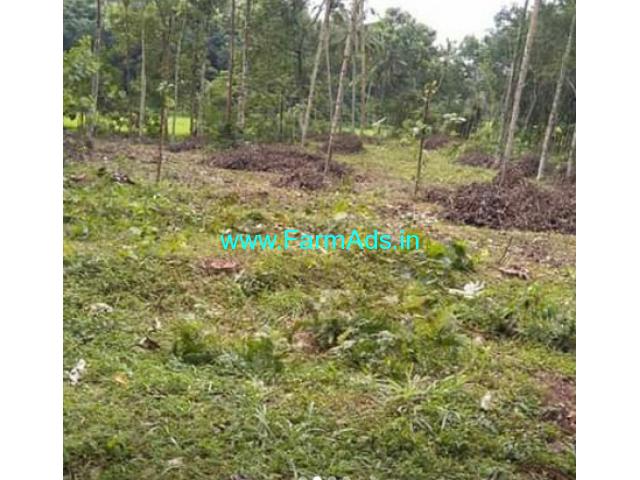 114 Cents Agriculture Land For Sale In Chenganur