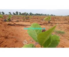200 Acres Agriculture Land For Sale In Tirunelveli