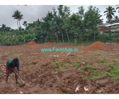 60 cents Farm Land For Sale In Thirparappu
