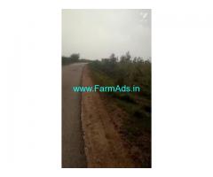 40 Acres Farm Land For Sale In Kanigiri