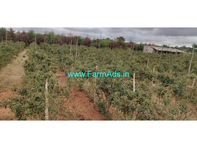 4 Acres Agriculture Land For Sale In Kanakapura