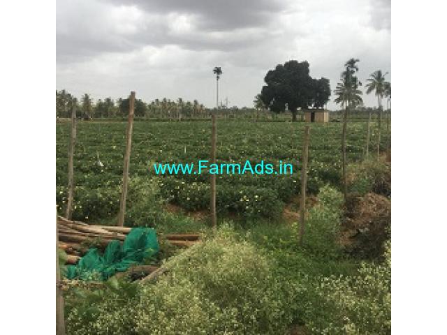 20 Guntas Farm Land For Sale In Doddabalapura