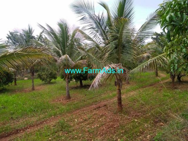 5 Acres Farm Land For Sale In Chikkamagaluru
