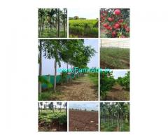 10 Acres Farm Land For Sale In Aaranakatte