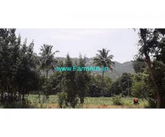 2 Acers 35 Guntas Agriculture Land For Sale In Chinchenahalli