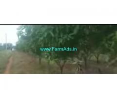 8 Acres Farm Land For Sale In Malavalli