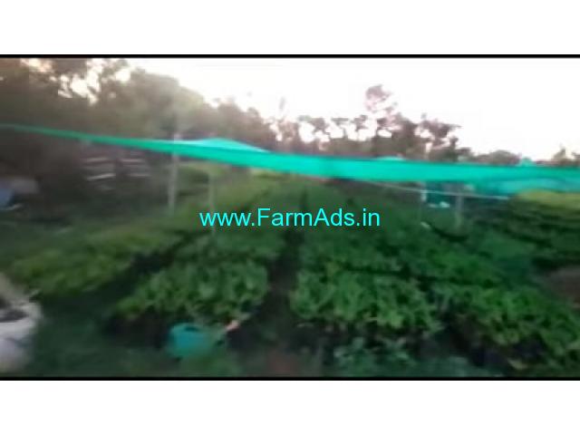 7 Acres 20 Gunta Agriculture Land For Sale In HD kote