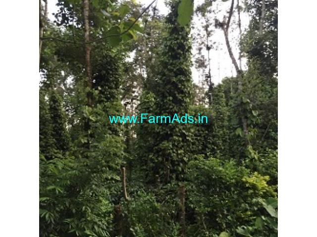 6 Acres Farm Land For Sale In Mudigere