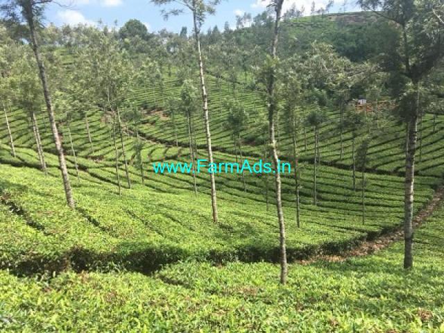 2470 acres of  Well managed Estate for sale in Idukki