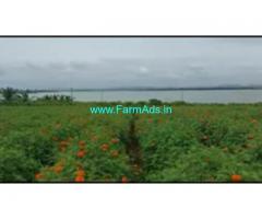 3 Acres 17 Gunta Farm Land For Sale In Sarguru