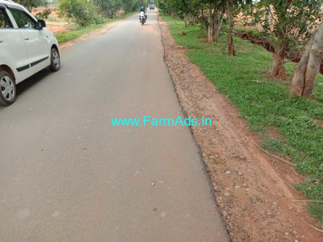 2 Acres Agriculture Land For Sale In Kasavanahalli