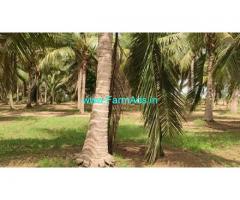 2.30 Acres Agriculture Land For Sale In Adanur