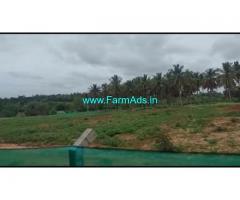 4 Acres Agriculture Land For Sale In Sarguru