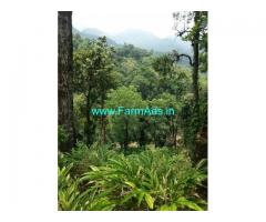 25 Acres Agriculture Land For Sale In Meppadi