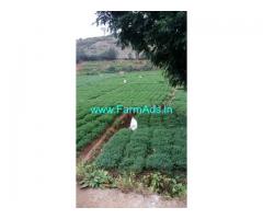 99 Cent Agriculture Land For Sale In Kakkathope