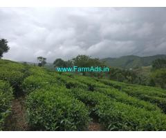 4.65 Acres Agriculture Land For Sale In Vagamon