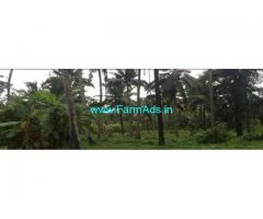 2.50 Acres Agriculture Land For Sale In Avittathur