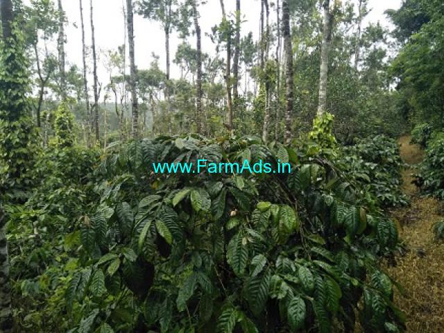 3.5 acre Robusta plantation sale in Chikmagalur