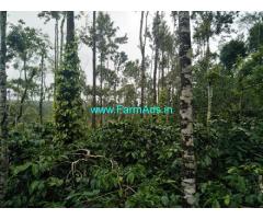 3.5 acre Robusta plantation sale in Chikmagalur