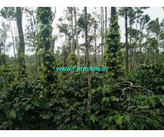 3.5 Acres Agriculture Land For Sale In Chikmagalur