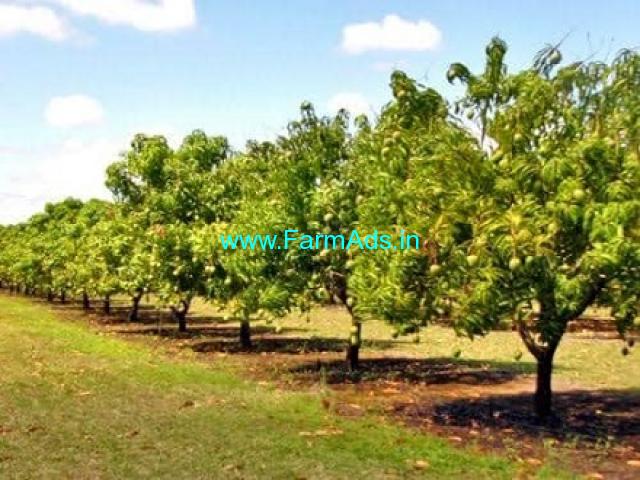 73 Acers Agriculture Land For Sale In Chengalpattu