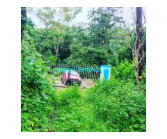 15 Acers Farm Land For Sale In Mudigere