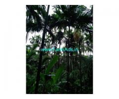 5 Acres Agriculture Land For Sale In Kukkesubramanya
