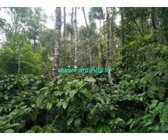 1.5 Acers Agriculture Land For Sale In Chikmaglur