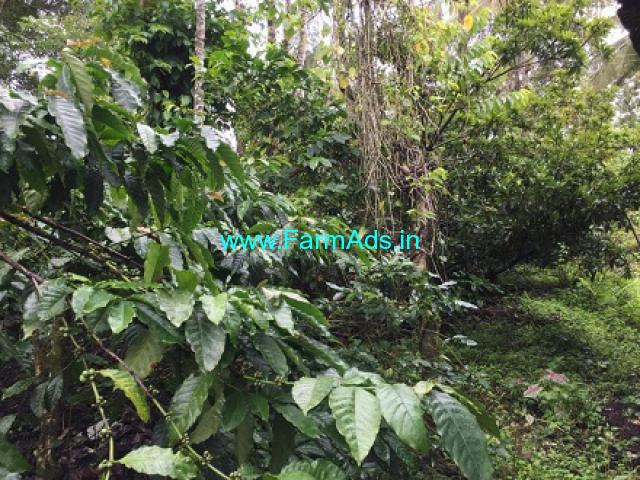 1.5 Acres Agriculture Land For Sale In Mudigere