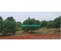 4 Acres Agriculture Land For Sale In Tadimarri