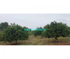 4 Acres Agriculture Land For Sale In Tadimarri