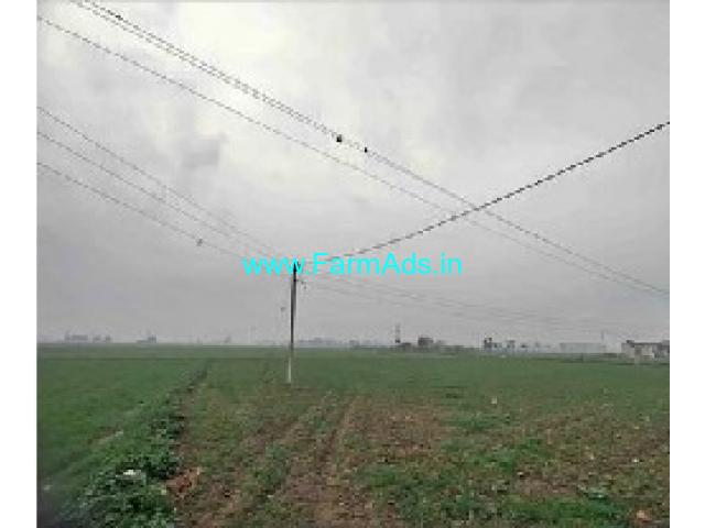 7 Acres Agriculture Land For Sale In Patiala