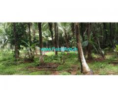 75 Cents Agriculture Land For Sale In Padur