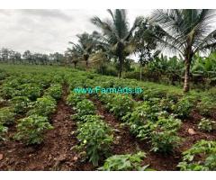 3 Acres Agriculture Land For Sale In Kabini