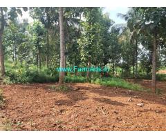 20 Acres Coconut Farm Land for Sale near Holenarasipura