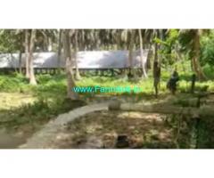 2.5 Acres Agriculture Land For Sale In Bantanahall
