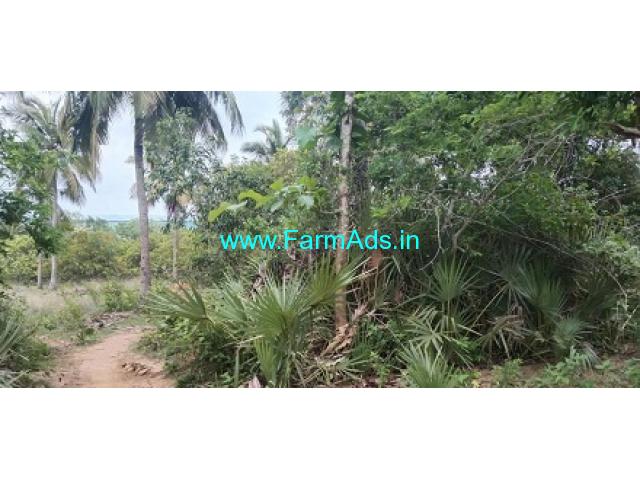 43 Acres Agriculture Land For Sale In Srikakulam