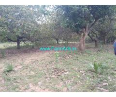 43 Acres Agriculture Land For Sale In Srikakulam