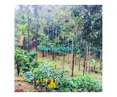 5 acre average maintained coffee Areca Plantation for sale in Mudigere