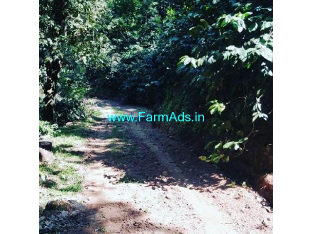 19.11 acre coffee estate for sale in Chikkamagaluru