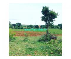 4 acres 24 guntas with 9 guntas Karab farm land for sale in Doddballapura