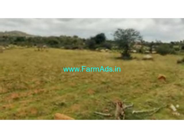 20 Acre Agriculture Land For Sale In Bagepalli