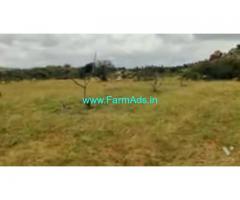 20 Acre Agriculture Land For Sale In Bagepalli